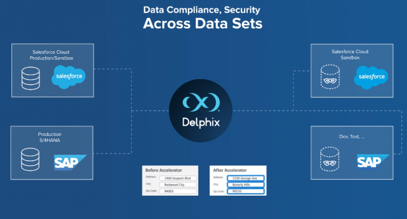 Delphix reviews